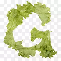 生菜字体蔬菜字体食品字母