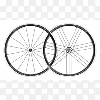 自行车凸轮对自由轮毂支点车轮-自行车