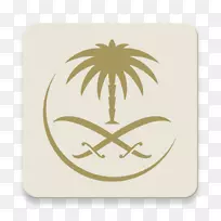 国王阿卜杜勒阿齐兹国际机场Saudia波音747-400航空公司飞行旅行