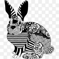 家养兔子复活节兔狮头兔荷兰矮小兔
