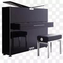 立式钢琴，大钢琴，数码钢琴，卡尔·索特钢琴，钢琴-钢琴