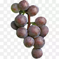 葡萄籽提取物无核果