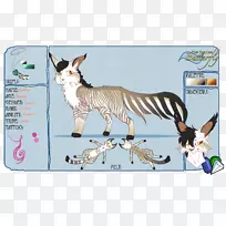 胡须猫野生动物尾猫