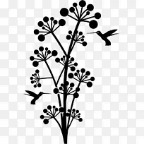 植物茎开花植物叶画-华兰