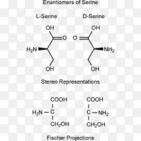 对映体丝氨酸立体化学氨基酸高级配方