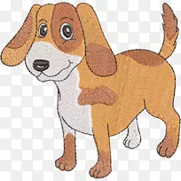 比格犬饲养猎犬伴犬-小狗