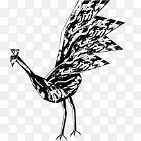 鸡视觉艺术鸡羽夹艺术-孔雀宝宝