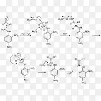 2，4-二硝基苯肼化学反应机理醛羰基-机理