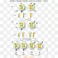 线路技术点线