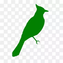 鸟嘴绿色动物野生动物剪贴画-习语