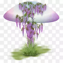 香菇切花画