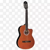 c。f。马丁公司古典吉他电吉他钢丝绳吉他
