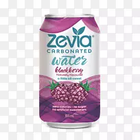 Zevia碳酸水甜菊矿泉水-水