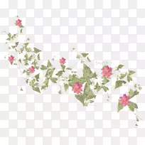 玫瑰科花瓣图案设计
