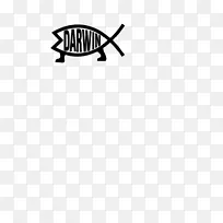 达尔文标志-费什鱼品牌-设计