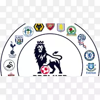 2015-16英超2017年-18英超曼彻斯特联队。曼彻斯特市F.C.2018-19英超联赛