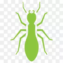蟑螂蚊虫防治白蚁