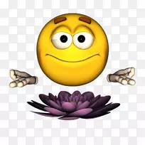 ibm Lotus sametime表情动画电影笑脸-笑脸