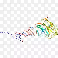 线点生物剪贴画线