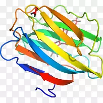 线点生物剪贴画线