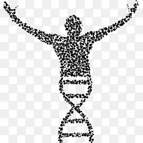 遗传学、DNA生物学、核酸双螺旋-科学