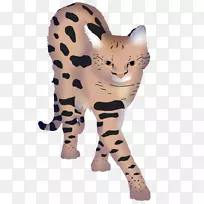 胡须虎豹猫野生动物-老虎