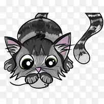 猫须猫犬科小猫