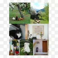 奥伯托恩·拉德斯塔特·萨尔茨堡Spor12 t Altenmarkt im Pongau Schladming-Gemeinde Hof bee Salzburg