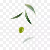墨西哥橄榄小吃Madama Oliva s.r.l.果橄榄