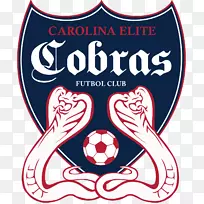 卡罗莱纳眼镜蛇-卡罗莱纳精英眼镜蛇梦想足球联盟足球标志-足球