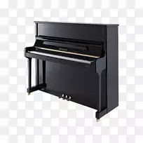 广州珠江钢琴集团有限公司立式钢琴blüthner-钢琴