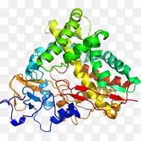 线点生物剪贴画线