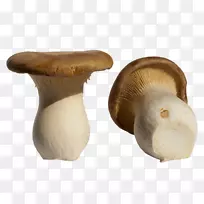 白灵菇黑松露食品蘑菇