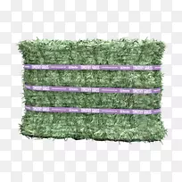 紫花苜蓿，马草，牧草捆，紫花苜蓿
