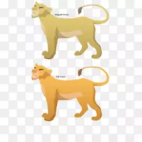 狮子狗猫野生动物-狮子