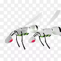昆虫扇形剪贴画-昆虫