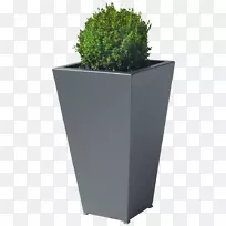花盆中草药矩形.设计