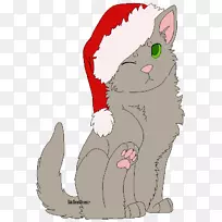 胡须猫，家猫，短毛猫，英国速记圣诞猫