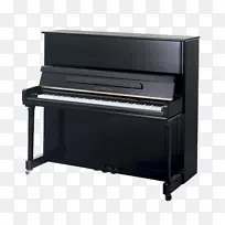 Petrof立式钢琴b sendorfer大钢琴-钢琴