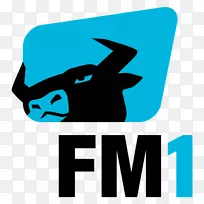 圣。Gallen收音机FM1调频广播网络电台-Jhelum