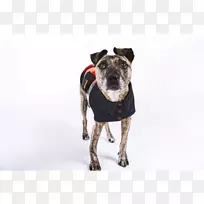 犬种夹克极地羊毛衣-狗