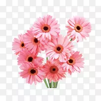 花束桌面壁纸-粉红色雏菊