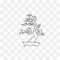 细枝线艺术植物茎夹艺术-甜菜素描