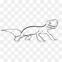 食肉线艺术野生动物卡通素描-豹壁虎蜥蜴