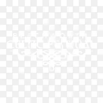 南悉尼猛禽-华林加海雕北昆士兰州牛仔克洛努拉-萨瑟兰鲨鱼Parramatta鳗鱼-凯尔特乐器