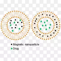 热释药热疗研究热疗磁性纳米粒.药物传递