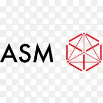 ASM太平洋技术有限公司ASM组装系统，LLC ASM国际电子技术