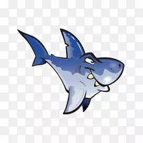 大白鲨牙齿海洋鳍鲨