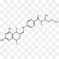 左氧氟沙星环丙沙星药物酶