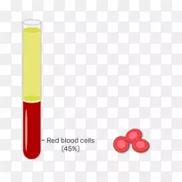 红细胞白血球